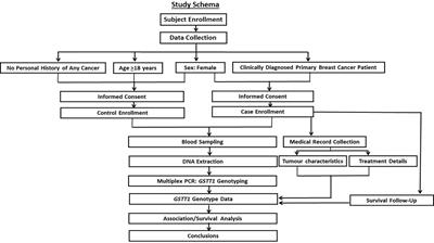 Absence of Glutathione S-Transferase Theta 1 Gene Is Significantly Associated With Breast Cancer Susceptibility in Pakistani Population and Poor Overall Survival in Breast Cancer Patients: A Case-Control and Case Series Analysis